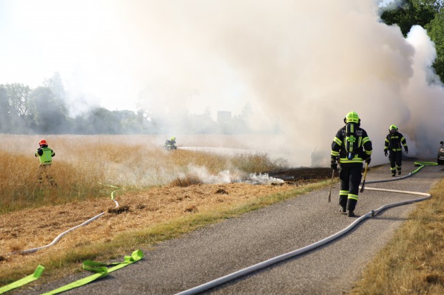 Vier PKW und zwei Kleintransporter in Marchtrenk in Flammen aufgegangen