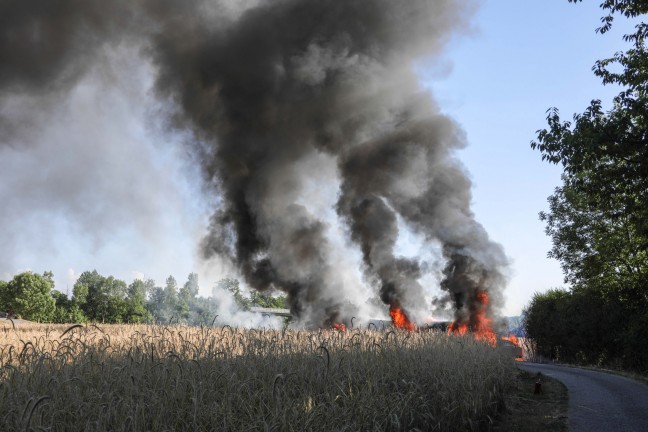 Vier PKW und zwei Kleintransporter in Marchtrenk in Flammen aufgegangen