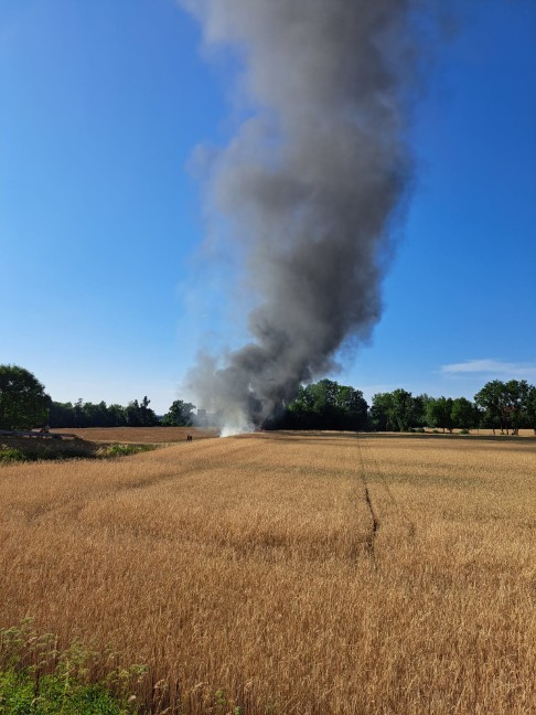 Vier PKW und zwei Kleintransporter in Marchtrenk in Flammen aufgegangen