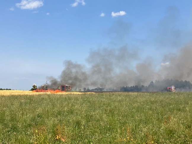 Feldbrnde sorgen erneut fr einige grere Einstze der Feuerwehren in Obersterreich