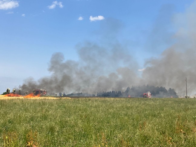 Feldbrnde sorgen erneut fr einige grere Einstze der Feuerwehren in Obersterreich