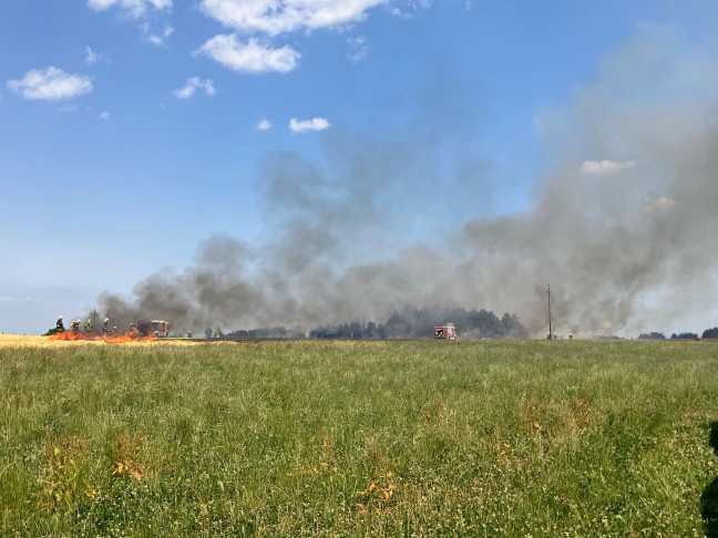 Feldbrnde sorgen erneut fr einige grere Einstze der Feuerwehren in Obersterreich