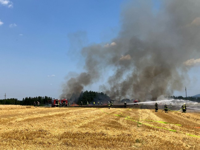 Feldbrnde sorgen erneut fr einige grere Einstze der Feuerwehren in Obersterreich
