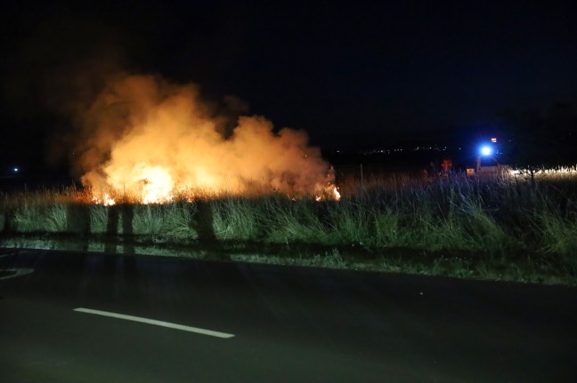 Flurbrand in Wels-Neustadt sorgt fr Einsatz der Feuerwehr