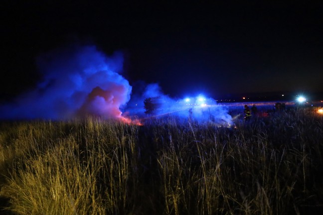 Flurbrand in Wels-Neustadt sorgt für Einsatz der Feuerwehr