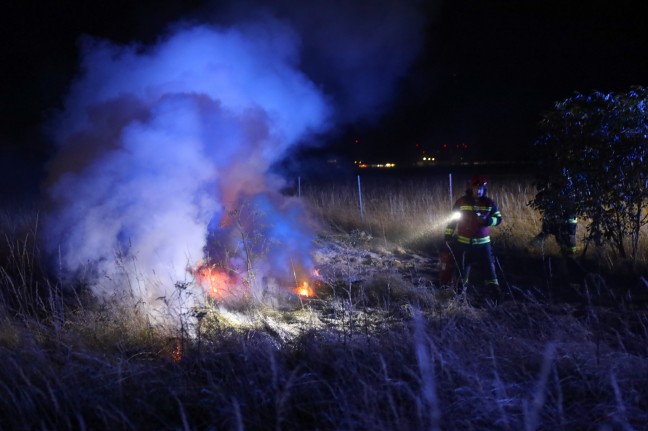 Flurbrand in Wels-Neustadt sorgt für Einsatz der Feuerwehr