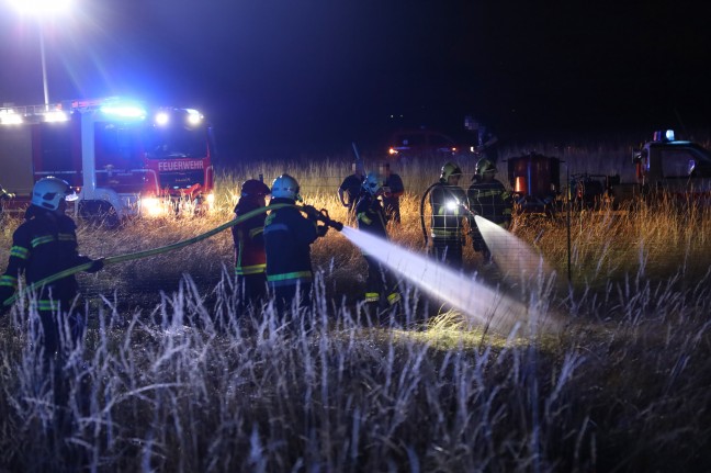 Flurbrand in Wels-Neustadt sorgt für Einsatz der Feuerwehr