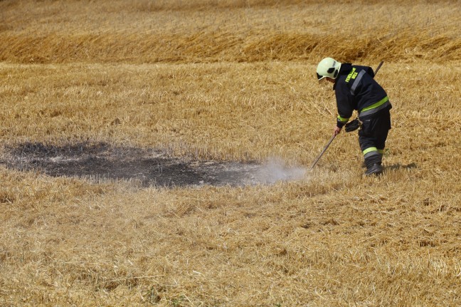 Grerer Brand eines Mhdreschers in Wels-Waidhausen in letzter Minute verhindert