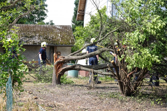 "Baum auf Dach gestrzt": Sturmschaden in Marchtrenk weniger dramatisch als gemeldet