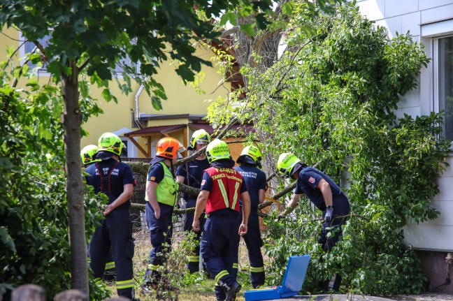 "Baum auf Dach gestrzt": Sturmschaden in Marchtrenk weniger dramatisch als gemeldet