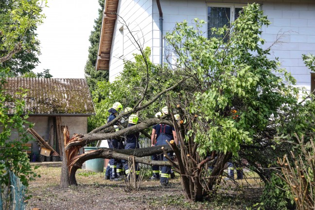 "Baum auf Dach gestrzt": Sturmschaden in Marchtrenk weniger dramatisch als gemeldet