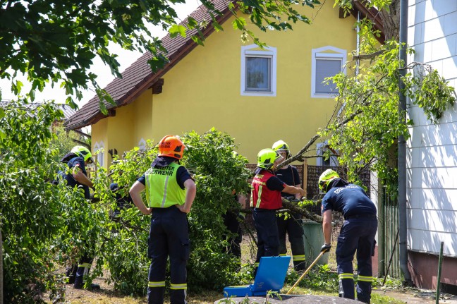 "Baum auf Dach gestrzt": Sturmschaden in Marchtrenk weniger dramatisch als gemeldet