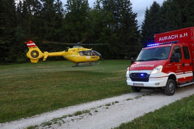 Personenrettung: Einsatzkräfte in einem Waldstück in Aurach am Hongar im Einsatz