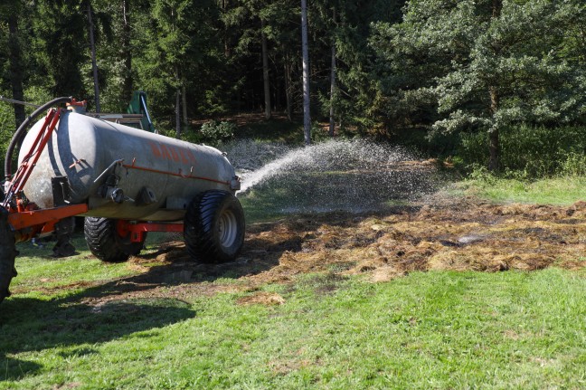 Fünf Feuerwehren bei Brand eines Heuhaufens in einer Waldlichtung in Peuerbach im Einsatz