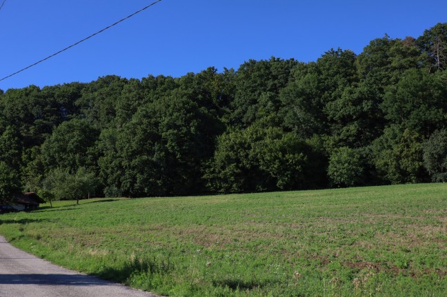 Personenrettung: Kind in einem Waldstck in St. Marienkirchen an der Polsenz abgerutscht