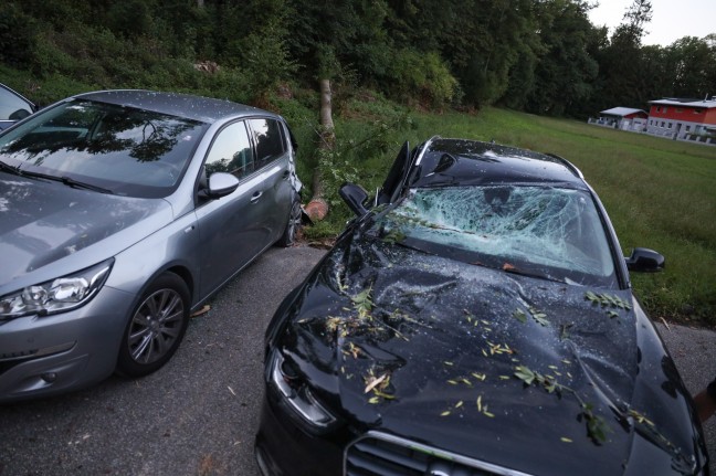 Schreckmoment vor Wohnhausanlage in Vorchdorf - Baum auf mehrere geparkte Autos gestürzt