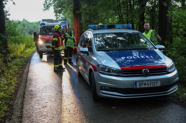 Auto in einem Waldstck in Pucking frontal gegen Baum gekracht