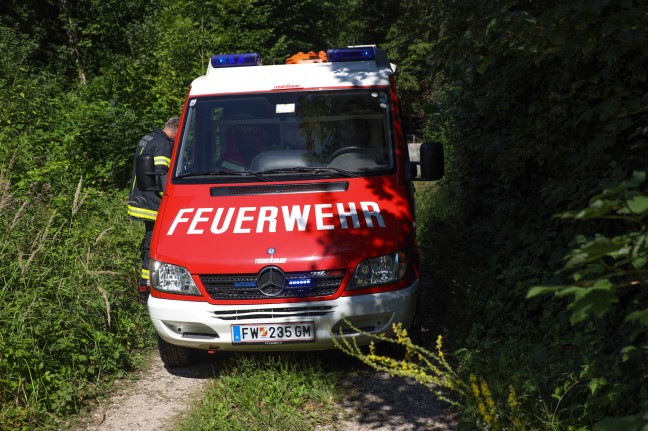Tor berklettert: Feuerwehr befreit in Ohlsdorf zwischen zwei Torsegmenten eingeklemmten Mann
