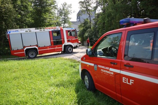 Feuerwehr im Einsatz: Baum drohte in Wels-Schafwiesen auf Strae zu strzen