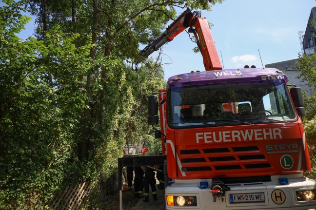 Feuerwehr im Einsatz: Baum drohte in Wels-Schafwiesen auf Strae zu strzen