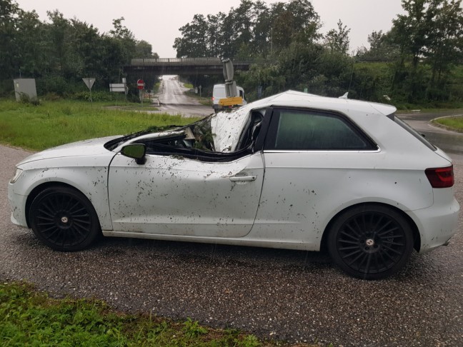 Personenrettung: Baum auf Innviertler Strae bei St. Florian am Inn auf fahrendes Auto gestrzt