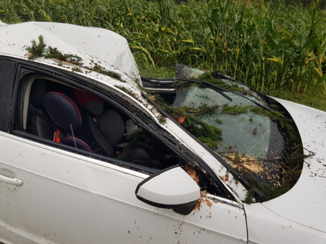 Personenrettung: Baum auf Innviertler Strae bei St. Florian am Inn auf fahrendes Auto gestrzt