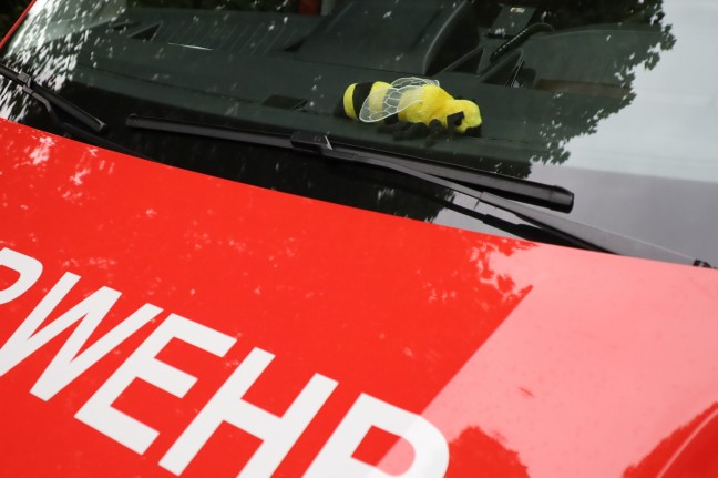 Nach Wespenstich: Feuerwehr schnitt Altenheim-Bewohnerin in Wels-Lichtenegg Ring vom Finger