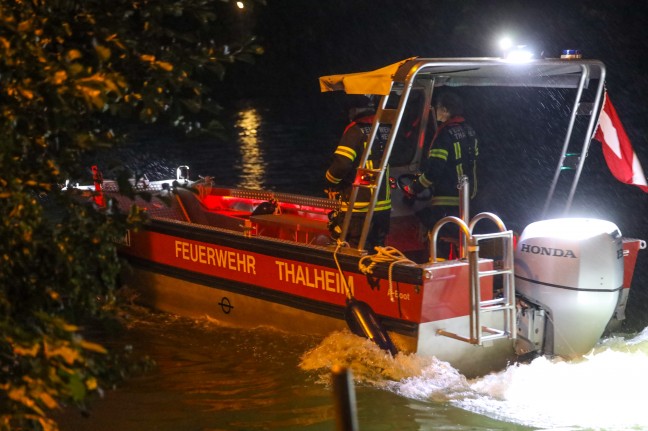 Bootseinsatz: Feuerwehr befreit Schwan auf der Traun in Thalheim bei Wels von eingehängtem Ast