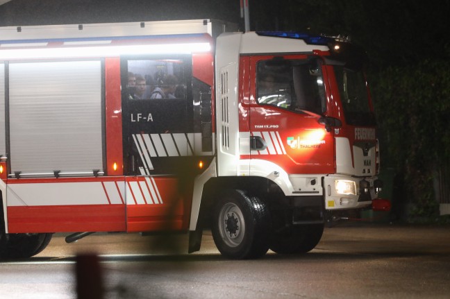 Bootseinsatz: Feuerwehr befreit Schwan auf der Traun in Thalheim bei Wels von eingehngtem Ast