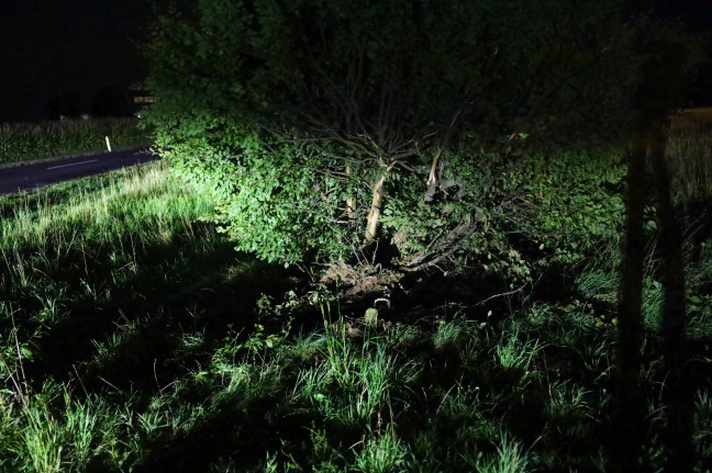 PKW bei Kollision in Eberstalzell gegen Baum gekracht