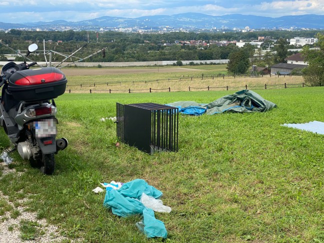 Polizeigroßeinsatz: 44 misshandelte und drei tote Hunde bei Hausdurchsuchung in Ansfelden entdeckt