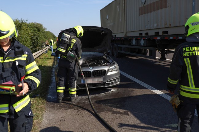 Brand im Motorraum: Drei Feuerwehren bei PKW-Brand auf Welser Autobahn in Pucking im Einsatz