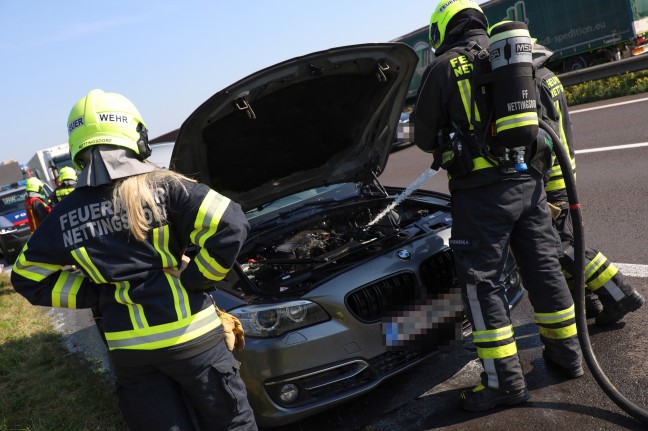 Brand im Motorraum: Drei Feuerwehren bei PKW-Brand auf Welser Autobahn in Pucking im Einsatz