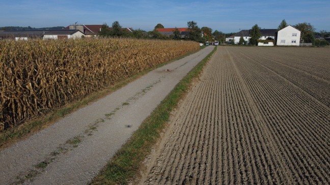 Joggerin in Naarn im Machlande von Hund totgebissen