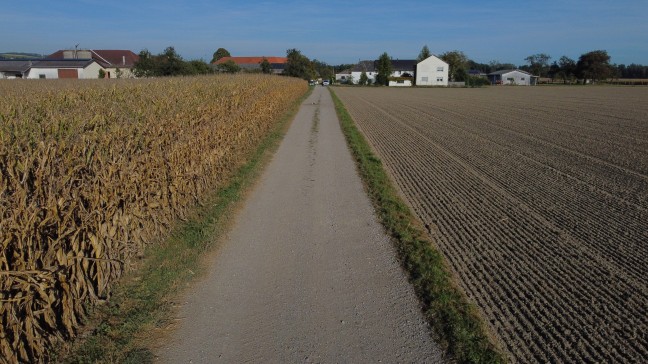 Joggerin in Naarn im Machlande von Hund totgebissen