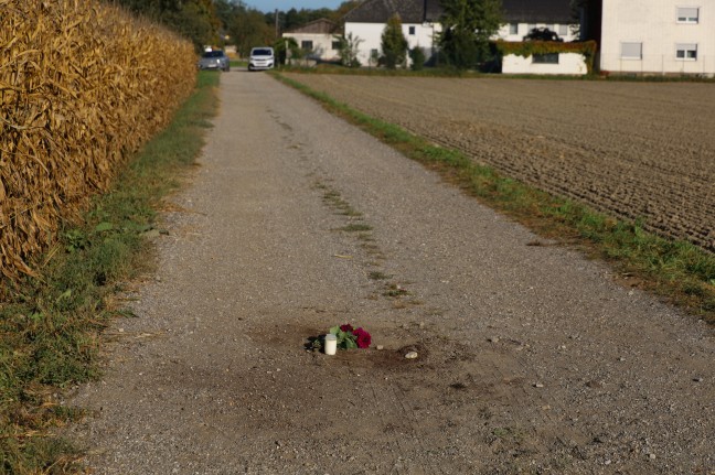 Joggerin in Naarn im Machlande von Hund totgebissen