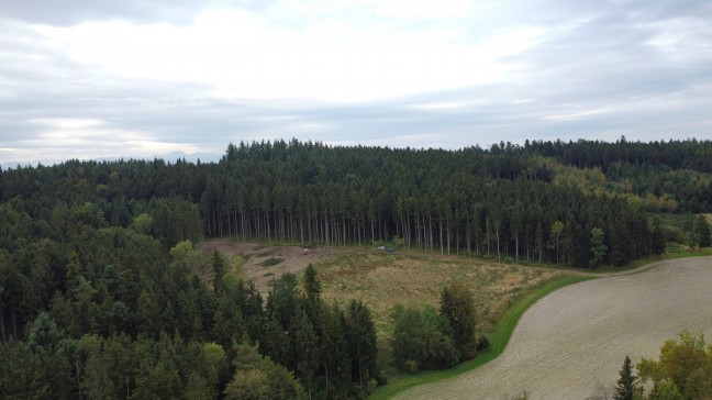 Tdlicher Forstunfall: 65-Jhriger in einem Waldstck in Krenglbach von Traktor berrollt