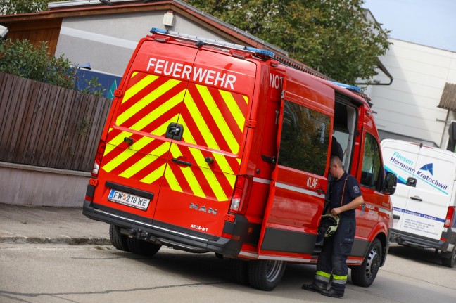 skulapnatter durch Feuerwehr aus dem Siedlungsbereich in Wels-Pernau chauffiert