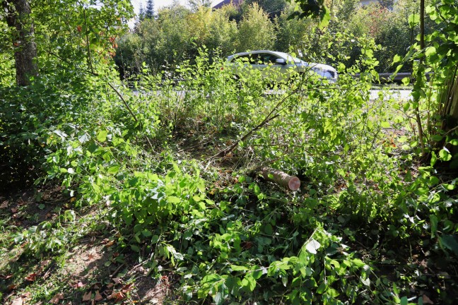 Lenker verletzt: PKW bei Verkehrsunfall in Pregarten durch Strucher gerauscht