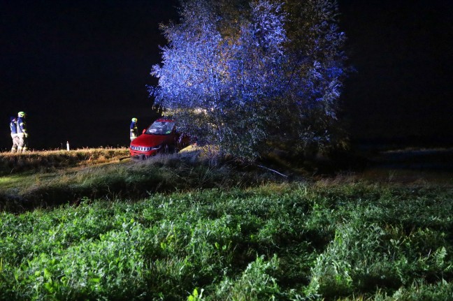 Auto bei nchtlichem Verkehrsunfall in Steinhaus von Strae abgekommen