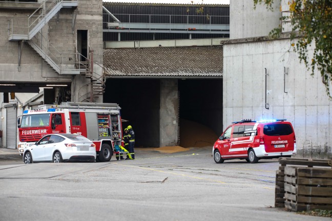 Drei Feuerwehren bei Brand in einer Trocknungsanlage eines Unternehmens in Hrsching im Einsatz