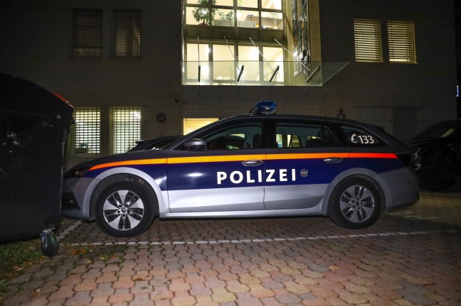 Alarmfahndung und Groeinsatz der Polizei nach mglicher Kindesentfhrung in Ohlsdorf