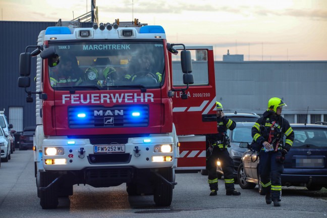 Grillfeier statt Brand: Befrchteter Brand bei Firma in Marchtrenk stellte sich als Fehlalarm heraus