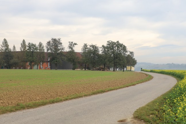 Einsatzkrfte zu Personenrettung nach Neuhofen an der Krems alarmiert