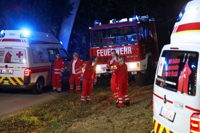 Auto gegen Baum: Vier teils Schwerverletzte bei nchtlichem Verkehrsunfall in Wartberg an der Krems