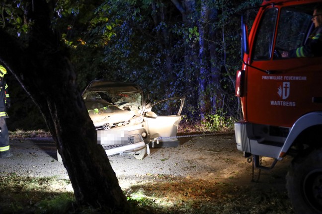 Auto gegen Baum: Vier teils Schwerverletzte bei nchtlichem Verkehrsunfall in Wartberg an der Krems