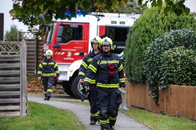 Marchtrenk: Katze verweigerte Rettung von Fensterbank durch Einsatzkrfte der Feuerwehr