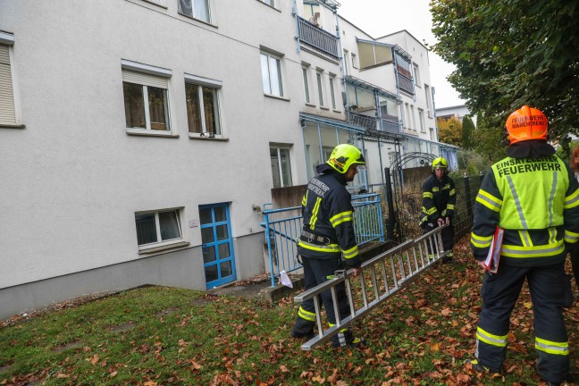 Marchtrenk: Katze verweigerte Rettung von Fensterbank durch Einsatzkrfte der Feuerwehr