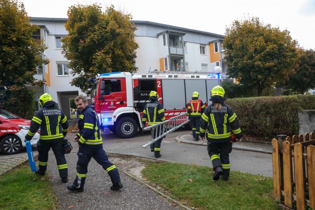 Marchtrenk: Katze verweigerte Rettung von Fensterbank durch Einsatzkrfte der Feuerwehr