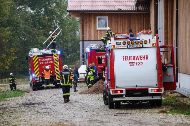 Feuerwehr mit Hhenrettern bei Personenrettung aus defektem Deckenkran in Buchkirchen im Einsatz